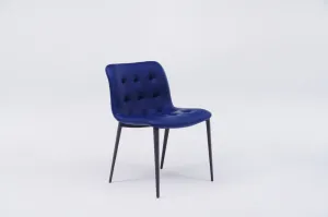 The Metal Kiwi