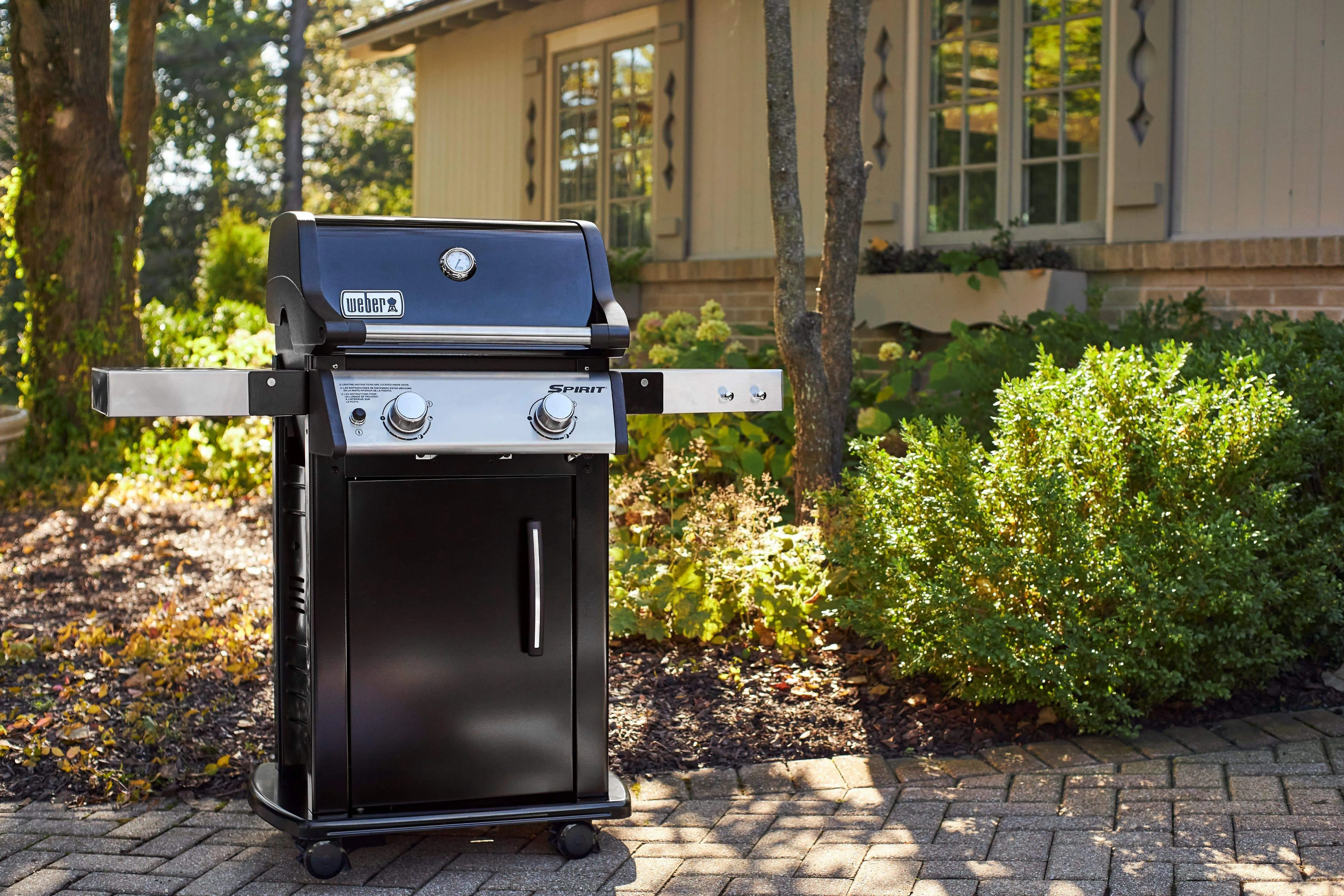 Weber Spirit E-215 2-Burner BBQ in Black with Cast-Iron Cooking Grates